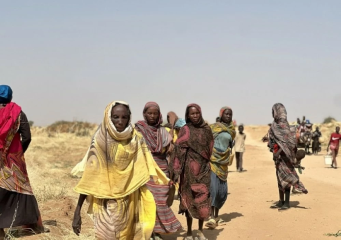 وزير الإعلام السوداني يرفض هدنة الدعم السريع: مناورة مكشوفة