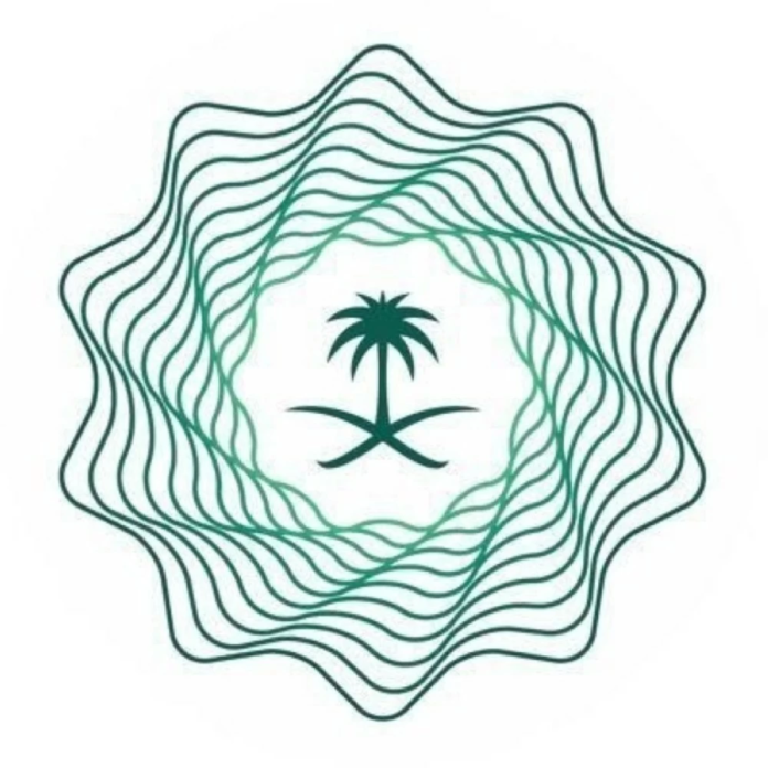 المالية: نظام الرقابة المالية يعزز الشفافية وكفاءة الإنفاق