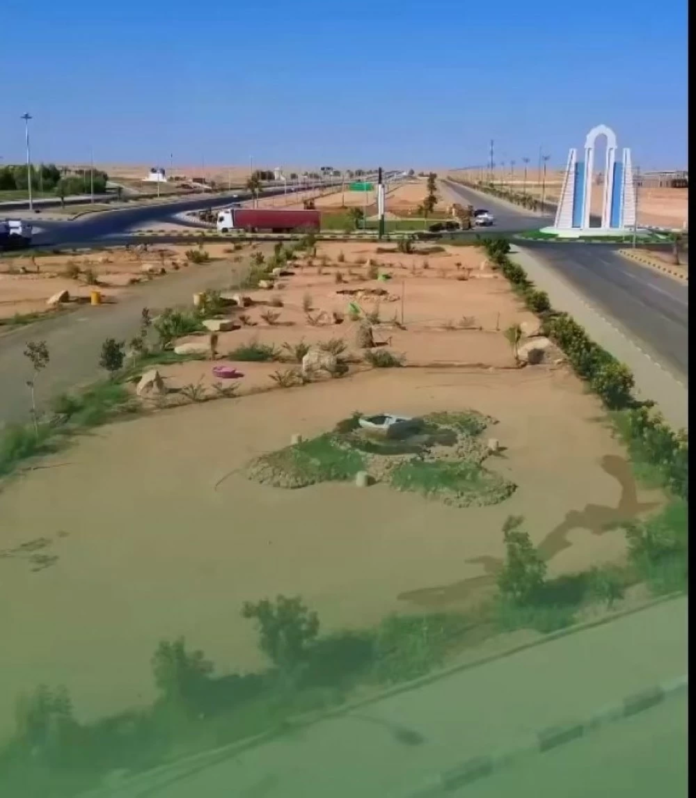 39 نوعاً من النباتات الملائمة للتشجير في الحدود الشمالية