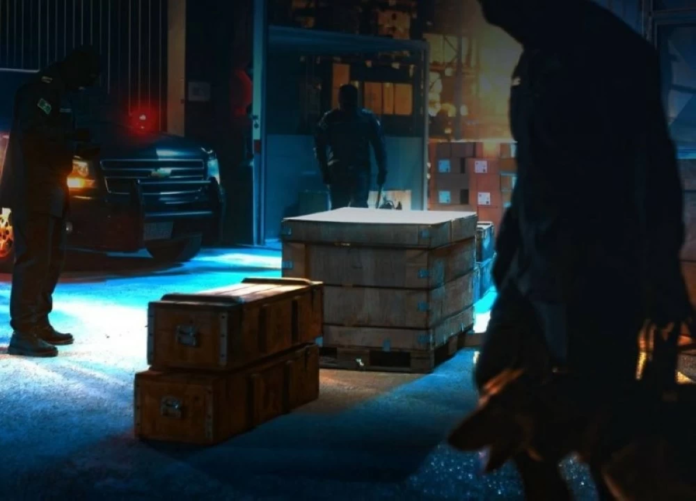 أمن المنافذ يضبط 1253 قضية تهريب ومخالفات في 24 ساعة