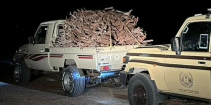 ضبط مواطن خالف نظام البيئة بنقل حطب محلي وعقوبات صارمة