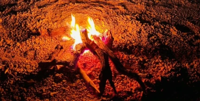 الأمن البيئي يضبط مخالفاً للنظام: تفاصيل الجهود والعقوبات