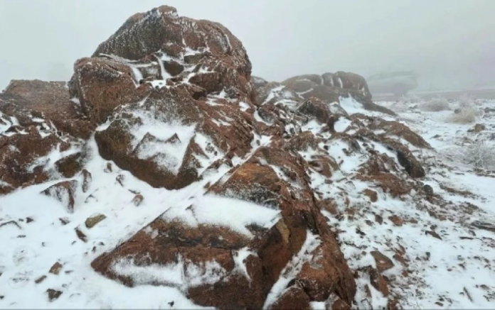 ثلوج وأمطار تروجينا بتبوك: أجواء شتوية استثنائية في نيوم