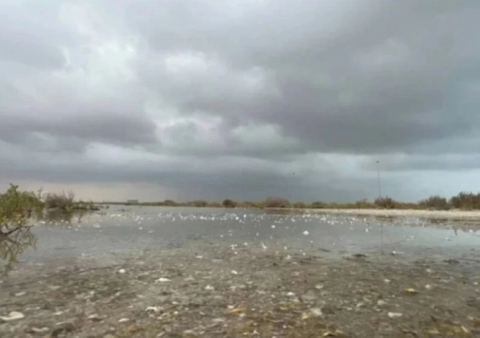 البيئة: هطول أمطار في 9 مناطق والحدود الشمالية الأعلى تسجيلاً