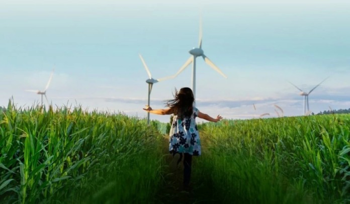 البرنامج الوطني: تحديد 21 إقليماً نباتياً عبر منصة التشجير