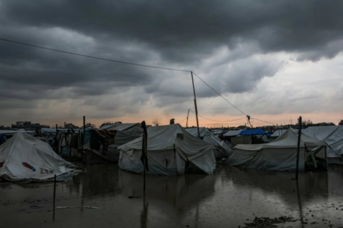 مستقبل غزة: هل تنجح الخطط دون نزع سلاح حماس؟