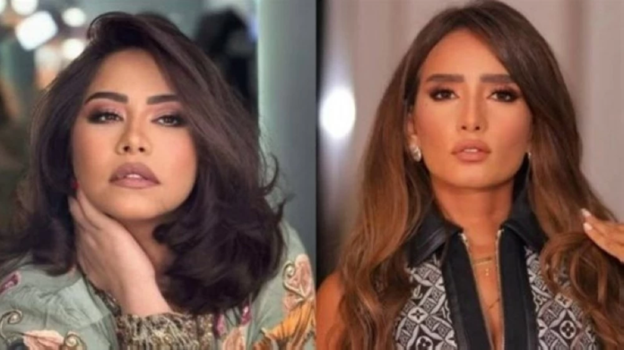 شيرين عبدالوهاب: كشف حقيقة اختفائها وحالتها الصحية