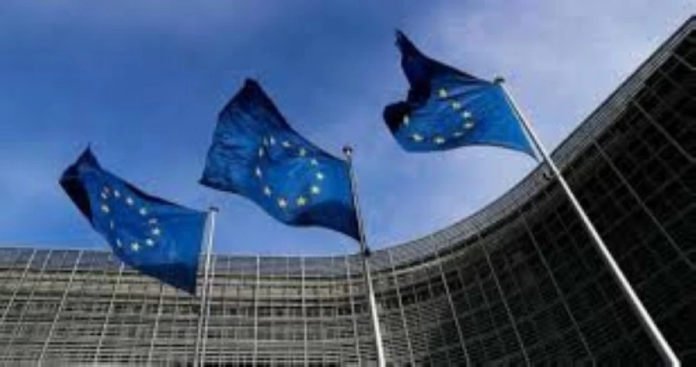 الاتحاد الأوروبي وتعهدات السيارات الكهربائية الصينية: حل النزاع