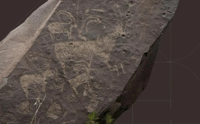 اكتشاف نقوش ثمودية عمرها 5000 عام في قمم السودة السعودية