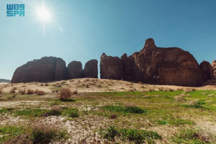 السعودية: غرامات صارمة لحماية الغطاء النباتي في العلا والمحميات