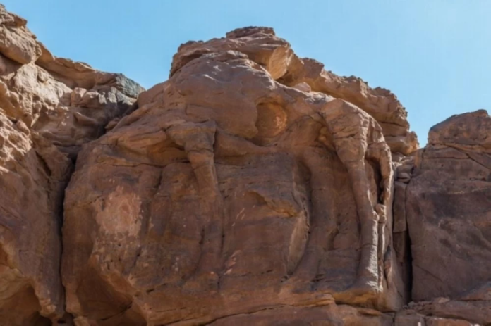 السعودية تحارب تهريب الآثار: 52 مخالفة للنيابة | هيئة التراث