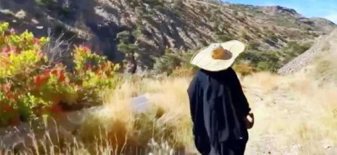 ريف السعودية: 240 ألف ريال دخل سنوي لصغار المزارعين 2030