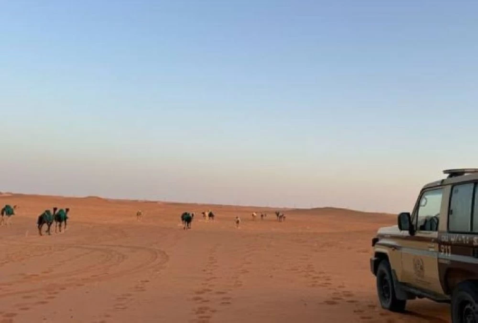 القوات الخاصة للأمن البيئي تضبط مخالف رعي في محمية ملكية