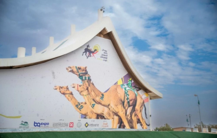 الهجن السعودية: نمو 300% وقيمة سوقية 250 مليون ريال