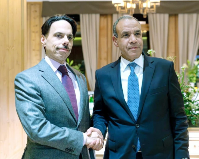 مباحثات سعودية مصرية في دافوس: تعزيز الاستقرار الإقليمي