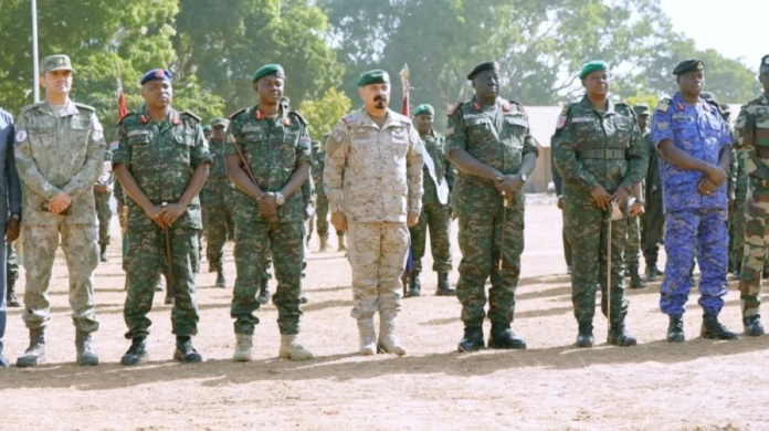 التحالف الإسلامي يطلق 