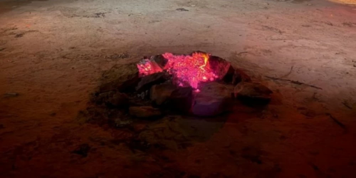 الأمن البيئي يضبط مخالفاً بمحمية طويق: حماية الغطاء النباتي