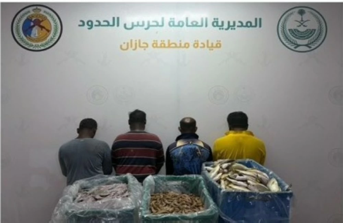 حرس الحدود يضبط 4 صيادين غير مرخصين بجازان | حماية الثروة البحرية