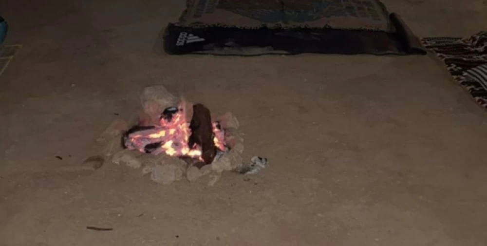 صورة توضيحية لجهود الأمن البيئي