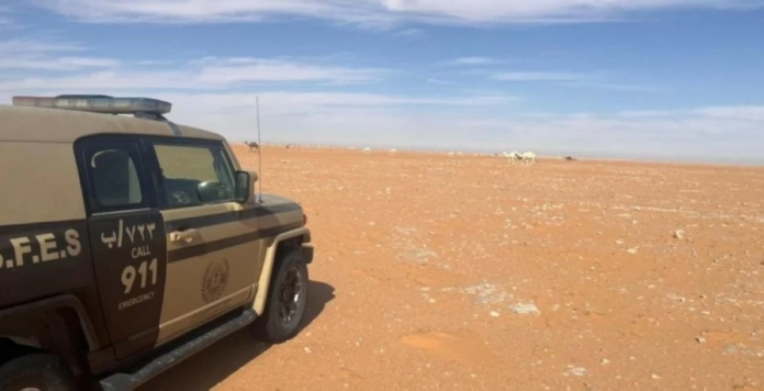 حماية البيئة: ضبط مخالف رعي بمحمية الإمام عبدالعزيز بن محمد