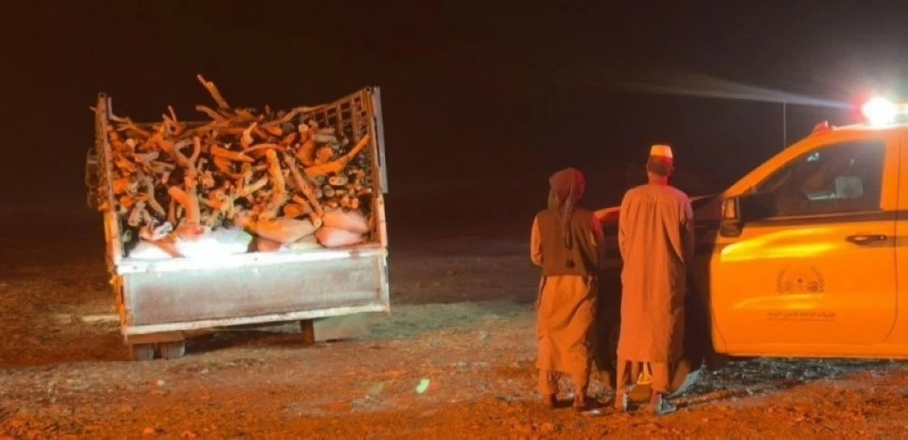 صورة توضيحية لعمليات الأمن البيئي في المملكة