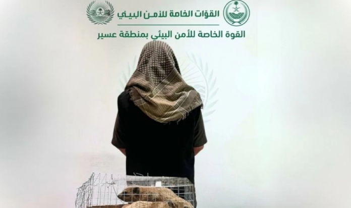 السعودية: ضبط مخالف يعرض كائنات فطرية للبيع في عسير