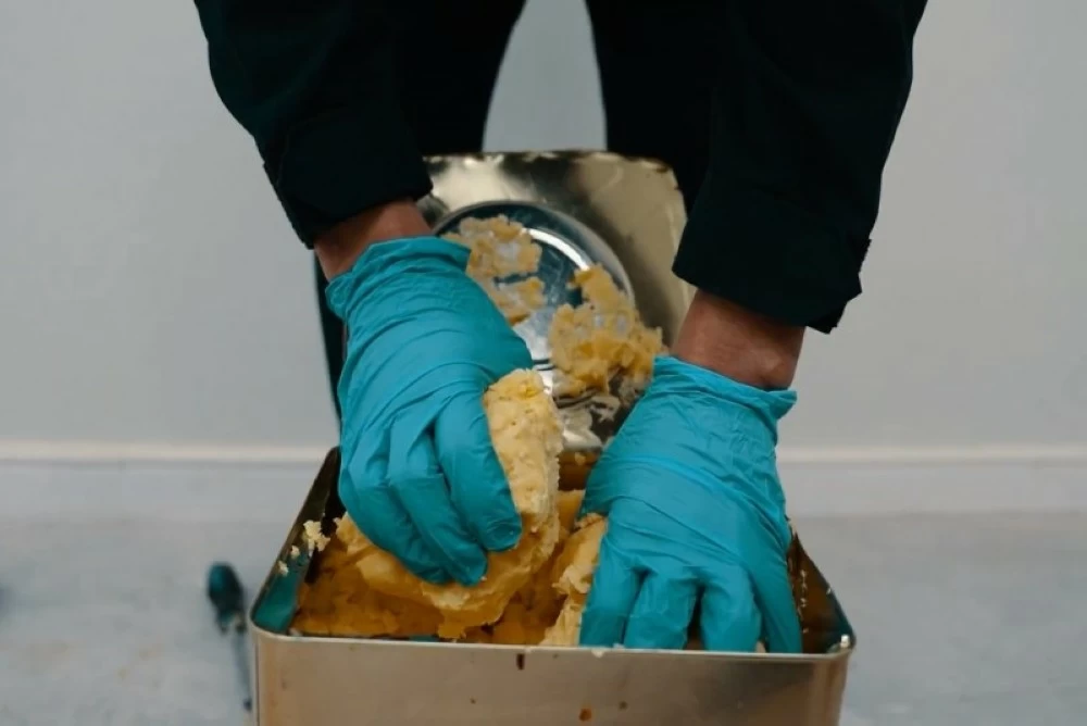 صورة توضيحية لعملية ضبط المخدرات