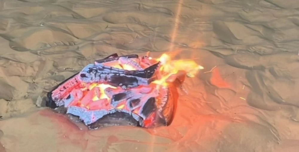 صورة توضيحية لجهود الأمن البيئي في المملكة