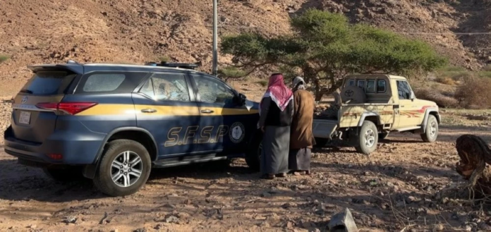 ضبط مخالفي قطع الأشجار بتبوك: عقوبات صارمة وحماية بيئية