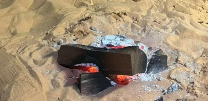 ضبط مخالف بيئي بمحمية الملك عبدالعزيز: حماية الغطاء النباتي