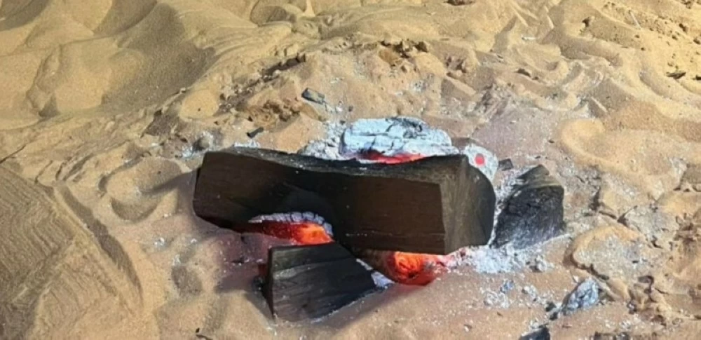 صورة توضيحية لجهود حماية البيئة