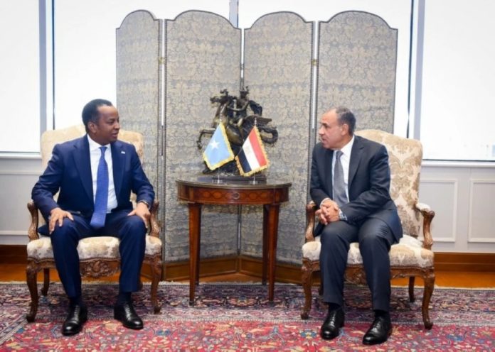 مصر تدعم وحدة الصومال وترفض الكيانات الموازية بالقرن الأفريقي