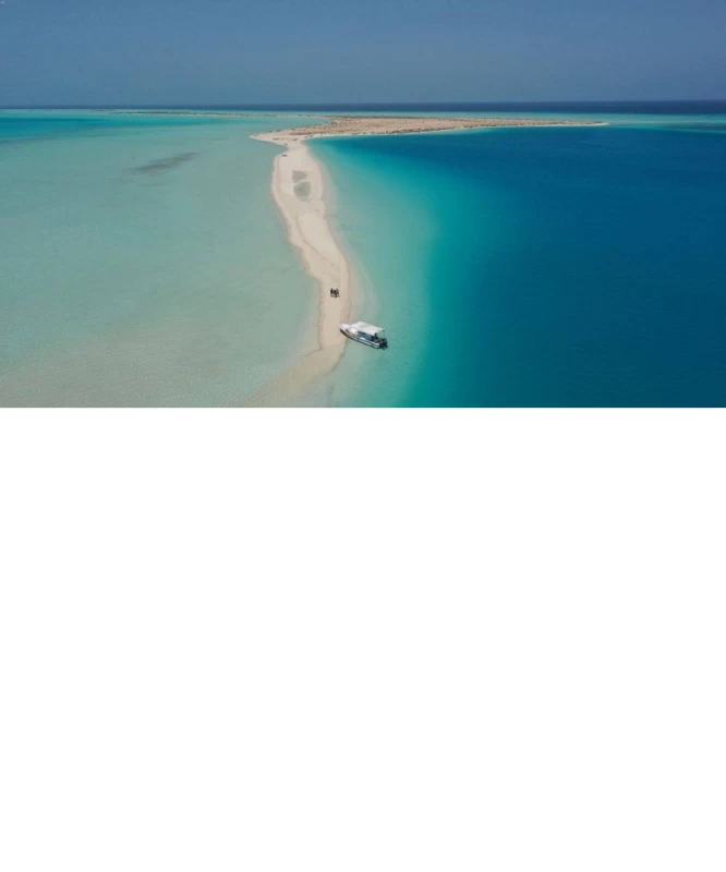 تحذير الأرصاد: رياح 50 كم/ساعة وأمواج عالية بالبحر الأحمر والخليج