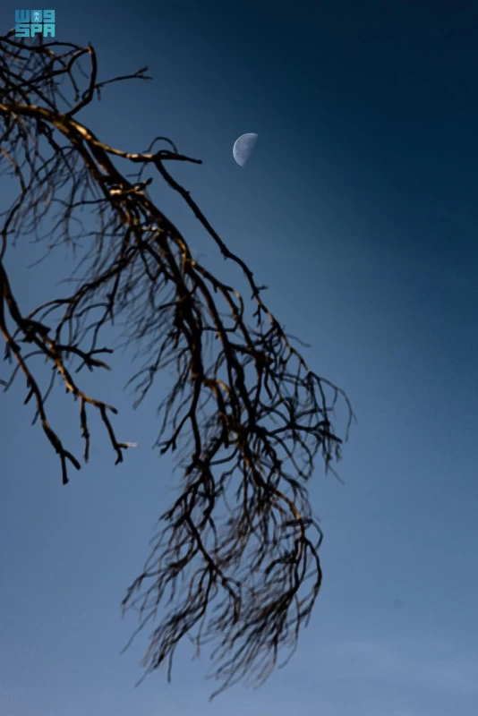 رصد قمر التربيع الأخير في سماء عرعر بالسعودية