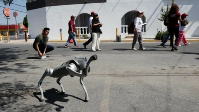 خطة المكسيك الأمنية لمونديال 2026: روبوتات لتأمين الملاعب