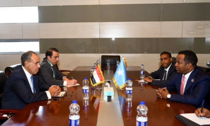 مصر تؤكد دعمها لأمن الصومال وسيادته ومكافحة الإرهاب