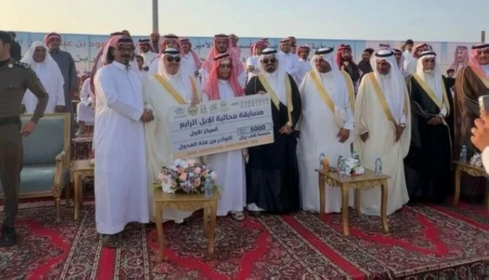 نوادر الإبل تتصدر التراث في الحجرة ضمن شتاء الحجرة