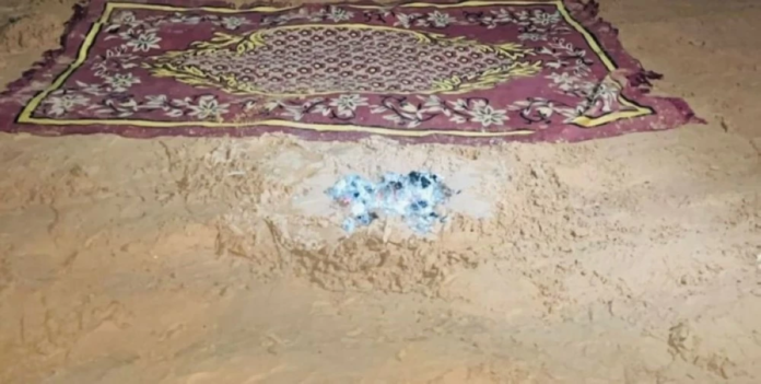 القوات البيئية تضبط مخالفًا بمحمية طويق: حماية الغطاء النباتي