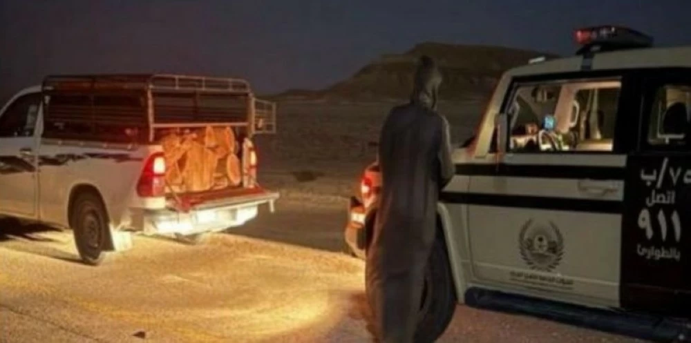 صورة لعملية ضبط حطب محلي