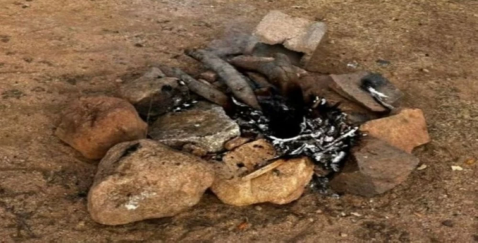 ضبط مخالف بمحمية الإمام فيصل بن تركي: حماية البيئة السعودية