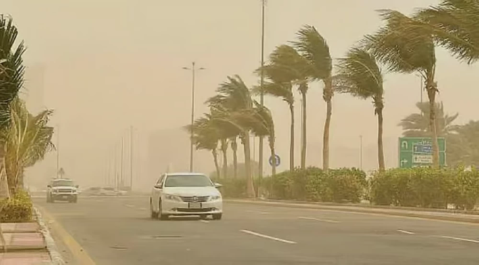 الأرصاد تحذر: أتربة ورياح نشطة بسكاكا والجوف | نصائح للسلامة