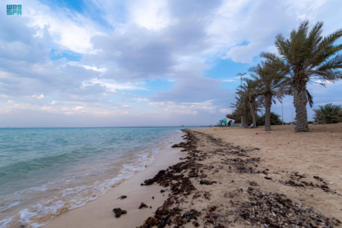 تحذيرات الأرصاد: أمواج ورياح وضباب في أول رمضان