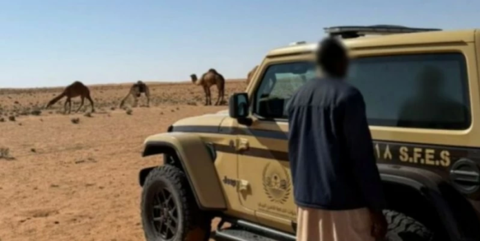 ضبط مخالفة رعي إبل في محمية الإمام تركي بن عبدالله الملكية