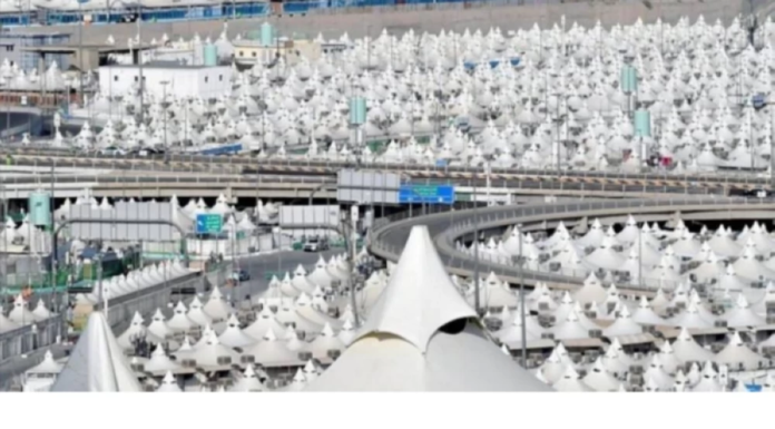 شروط تسجيل حجاج الداخل: العمر والإقامة ومواعيد نسك