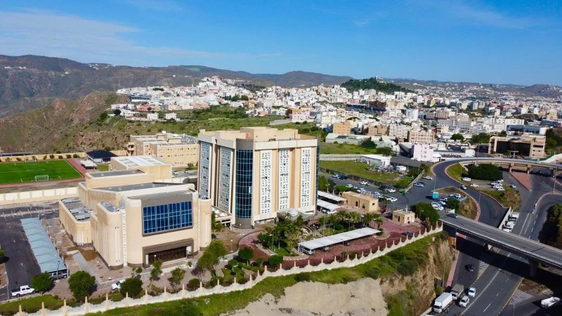 تعليق الدراسة في عسير