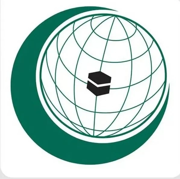 تقرير: تصاعد جرائم إسرائيل ضد الفلسطينيين خلال أسبوع