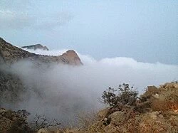 تفاصيل وفاة 4 شبان من قرية الأزاهرة بالباحة في حادث مروري