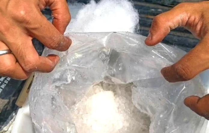 الإطاحة بشبكة لترويج مخدر الشبو في عدن | تفاصيل صادمة