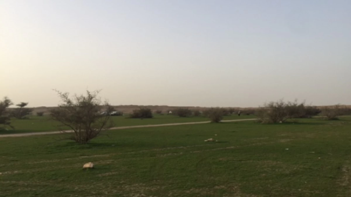 بدء فصل الربيع فلكيا في السعودية 2026 | تفاصيل الاعتدال