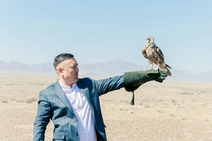 جهود المملكة في إعادة توطين الصقور المهددة بالانقراض